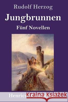 Jungbrunnen (Großdruck): Fünf Novellen Herzog, Rudolf 9783847838241 Henricus - książka