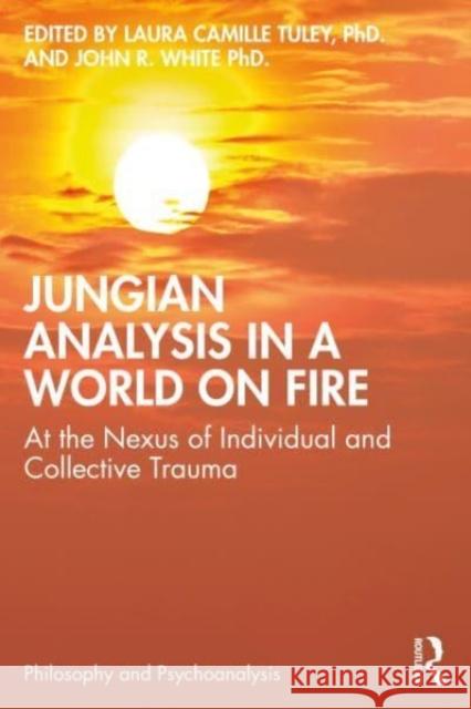 Jungian Analysis in a World on Fire  9781032181295 Taylor & Francis Ltd - książka