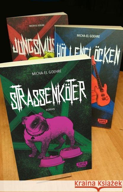 Jungsmusik-Trilogie, 3 Bde. : Roman Goehre, Micha-El 9783944035932 Satyr Verlag - książka