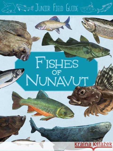 Junior Field Guide: Fishes of Nunavut: English Edition Jordan Hoffman 9781774500521 Inhabit Education Books Inc. - książka