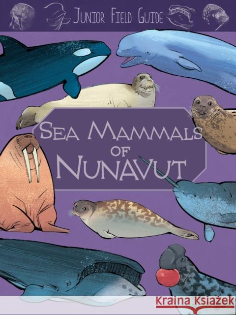 Junior Field Guide: Sea Mammals of Nunavut: English Edition Hoffman, Jordan 9781774505854 Inhabit Education Books Inc. - książka