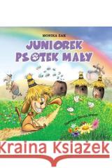 Juniorek psotek mały Monika Żak 9788396464200 Bookplan.pl - książka