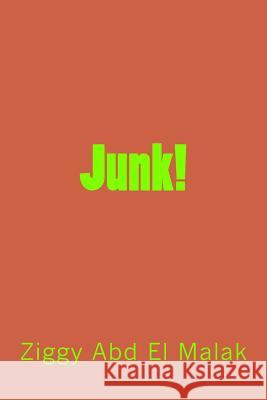 Junk! Ziggy Ab 9781502376091 Createspace - książka
