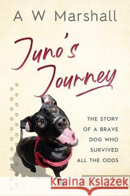 Juno's Journey Alexander William Marshall   9798396319165 Independently Published - książka