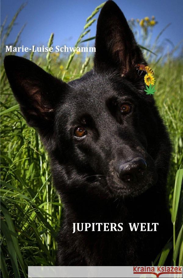 Jupiters Welt Schwamm, Marie-Luise 9783565088171 epubli - książka