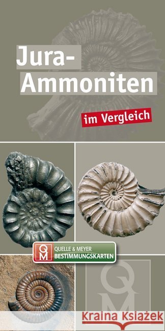 Jura-Ammoniten im Vergleich  9783494017976 Quelle & Meyer - książka