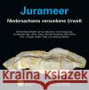 Jurameer : Niedersachsens versunkene Urwelt  9783899371727 Pfeil