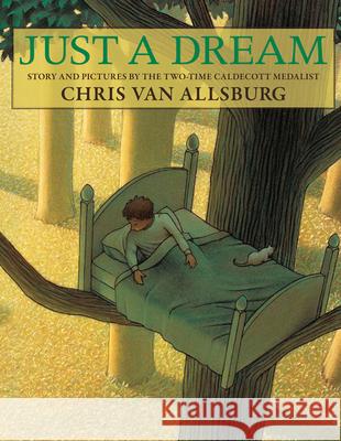 Just a Dream Chris Va 9780547520261 Houghton Mifflin Harcourt (HMH) - książka