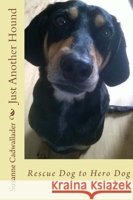Just Another Hound: Rescue Dog to Hero Dog Suzanne Cadwallader 9781546894063 Createspace Independent Publishing Platform - książka