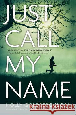 Just Call My Name Holly Goldber 9780316122825 Little, Brown Books for Young Readers - książka