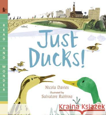 Just Ducks! Nicola Davies Salvatore Rubbino 9780763670511 Candlewick Press (MA) - książka