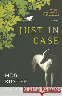 Just in Case Meg Rosoff 9780452289376 Plume Books - książka
