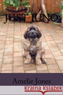 Just Juno: The story of a puppy like no other Jones, Amelie 9781974383900 Createspace Independent Publishing Platform - książka
