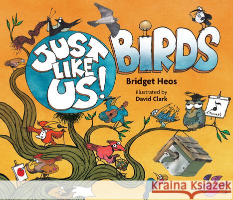 Just Like Us! Birds Bridget Heos David Clark 9780544570443 Houghton Mifflin - książka