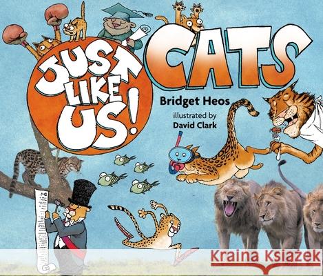 Just Like Us! Cats Bridget Heos David Clark 9781328791849 Houghton Mifflin - książka