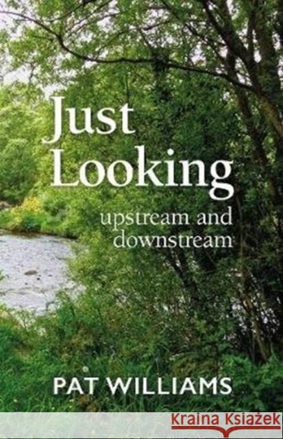 Just Looking: upstream and downstream Pat Williams 9781899398140 Human Givens Publishing Ltd - książka