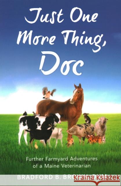 Just One More Thing, Doc Bradford B Brown 9781684752201 Rowman & Littlefield - książka