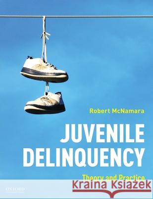 Juvenile Delinquency: Theory to Practice Robert McNamara 9780190078744 Oxford University Press, USA - książka