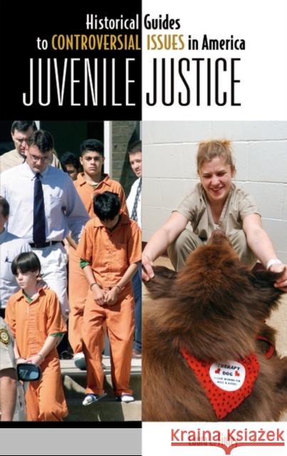 Juvenile Justice Laura L. Finley 9780313338823 Greenwood Press - książka