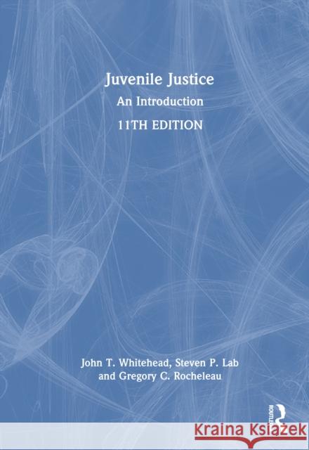 Juvenile Justice: An Introduction Gregory C. Rocheleau 9781032952437 Routledge - książka