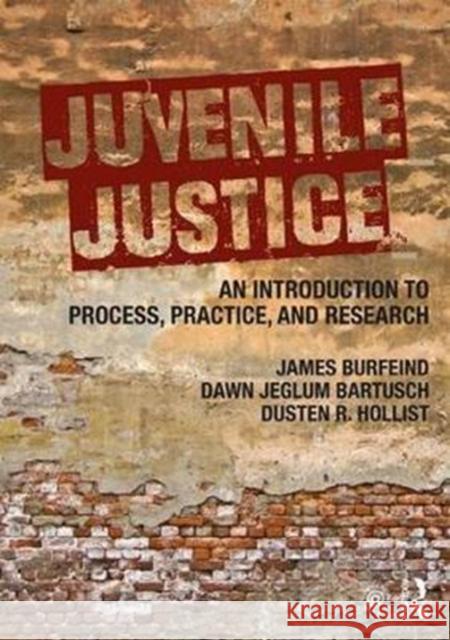 Juvenile Justice: An Introduction to Process, Practice, and Research James W. Burfeind Dawn Jeglum Bartusch Dusten Hollist 9781138843226 Routledge - książka