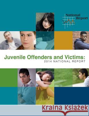 Juvenile Offenders and Victims - 2014 National Report National Center for Juvenile Justice 9781508678700 Createspace - książka