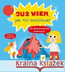 Już wiem, jak to możliwe!  9788381443555 Jedność - książka
