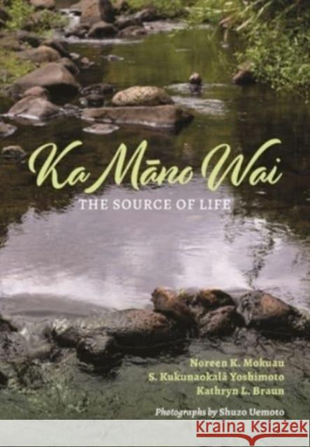 Ka Māno Wai: The Source of Life Mokuau, Noreen K. 9780824894337 University of Hawai'i Press - książka