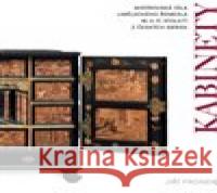 Kabinety Jiří Fronek 9788071012207  - książka