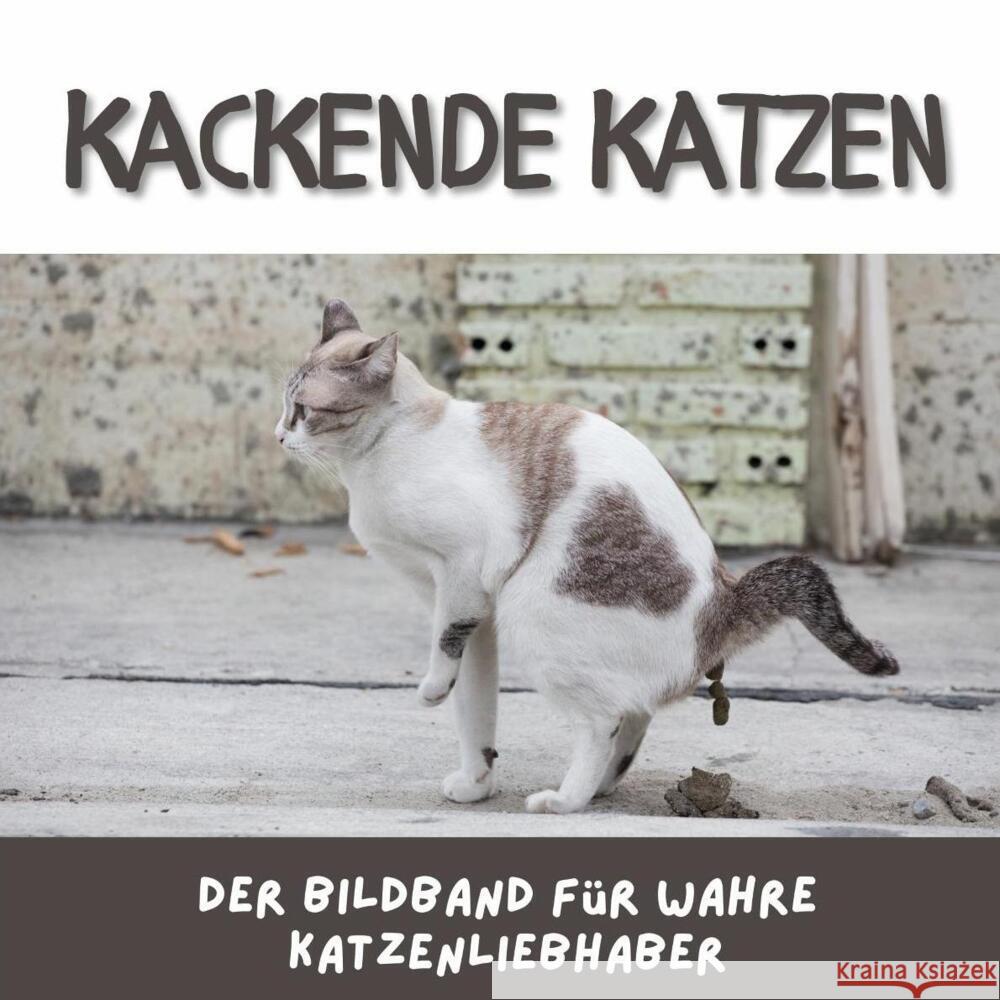 Kackende Katzen Fröhlich, Tim 9783750506367 27amigos - książka