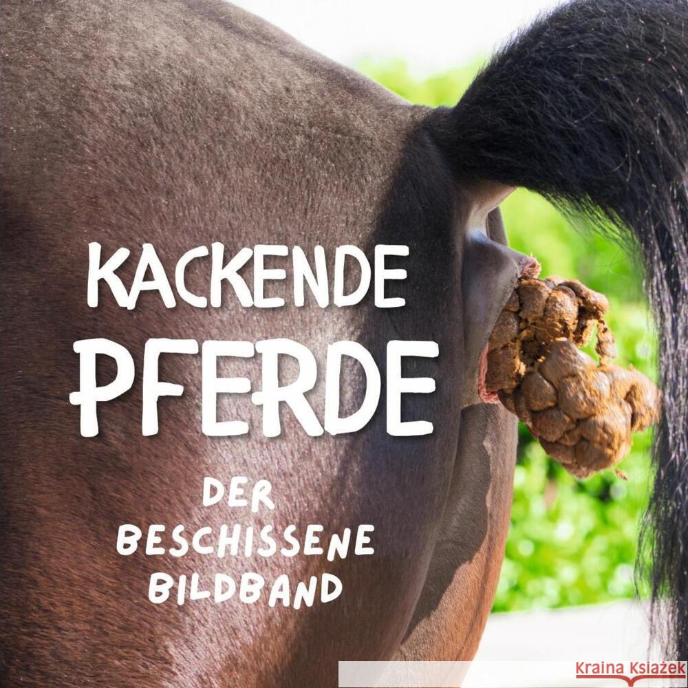 Kackende Pferde Fröhlich, Tim 9783750505551 27amigos - książka