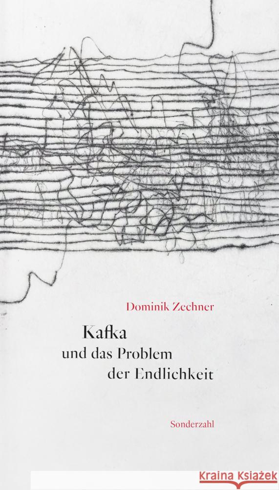 Kafka und das Problem der Endlichkeit Zechner, Dominik 9783854496625 Sonderzahl - książka