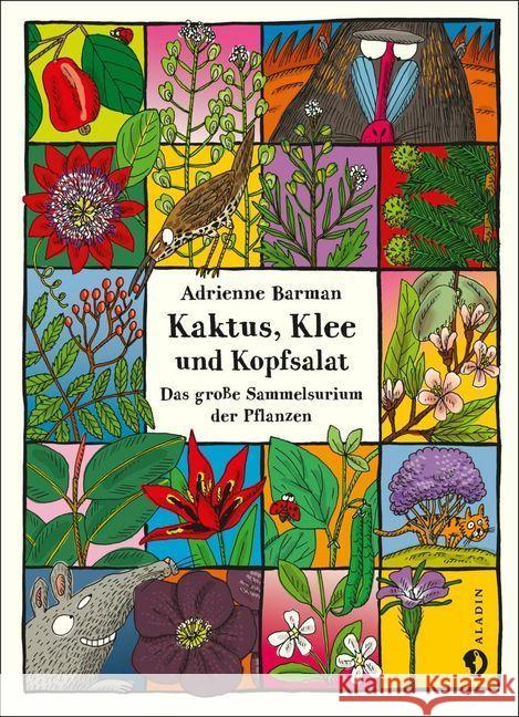 Kaktus, Klee und Kopfsalat : Das große Sammelsurium der Pflanzen Barman, Adrienne 9783848901432 Aladin - książka