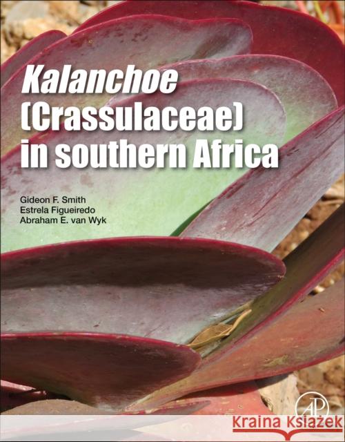 Kalanchoe (Crassulaceae) in Southern Africa: Classification, Biology, and Cultivation Gideon F. Smith Estrela Figueiredo Abraham E. Va 9780128140079 Academic Press - książka
