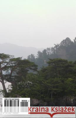 Kaleidoscope Paintbrush Mervyn R. Seivwright 9781463780685 Createspace - książka