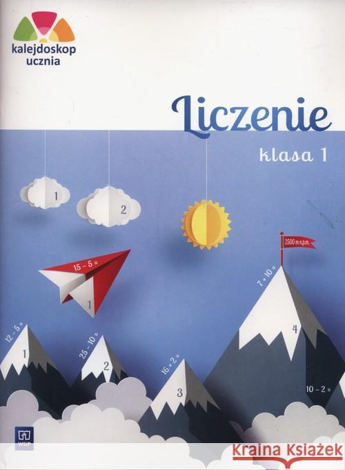 Kalejdoskop ucznia. Liczenie kl. 1 WSiP Chankowska Aniela 9788302170225 WSiP - książka