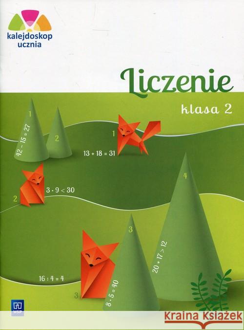 Kalejdoskop ucznia. Liczenie kl. 2 WSiP Chankowska Aniela 9788302173158 WSiP - książka