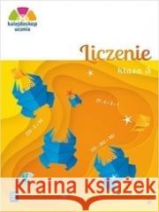 Kalejdoskop ucznia. Liczenie kl. 3 WSiP Aniela Chankowska 9788302181849 WSiP - książka