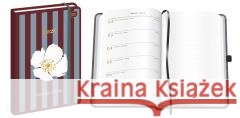 Kalendarz 2026 książkowy A5/192K Metallic Tutto  5902277382078 INTERDRUK - książka