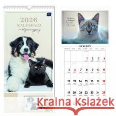Kalendarz 2026 motywacyjny 22x46cm Zwierzaki  5902277382351 INTERDRUK - książka