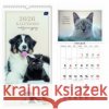 Kalendarz 2026 motywacyjny 22x46cm Zwierzaki  5902277382351 INTERDRUK