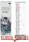 Kalendarz 2026 paskowy 13,5x50cm Koty  5902277382382 INTERDRUK