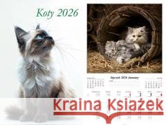 Kalendarz 2026 ścienny Koty  5906667514094 Radwan - książka