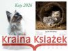 Kalendarz 2026 ścienny Koty  5906667514094 Radwan