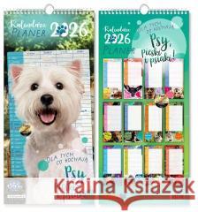 Kalendarz 2026 ścienny planer Psy  5906850811399 Kukartka - książka