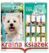 Kalendarz 2026 ścienny planer Psy  5906850811399 Kukartka
