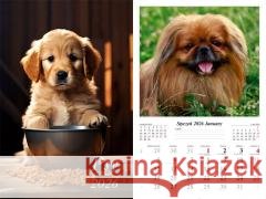 Kalendarz 2026 ścienny Psy  5906667514087 Radwan - książka