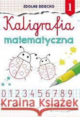 Kaligrafia matematyczna 1 Guzowska Beata 9788381146609 Literat - książka