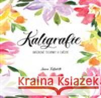 Kaligrafie. Ukázkové techniky a cvičení Laura  Toffaletti 9788075297921 Slovart - książka