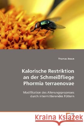 Kalorische Restriktion an der Schmeißfliege Phormia terraenovae : Modifikation des Alterungsprozesses durch intermittierendes Füttern Braun, Thomas 9783639126983 VDM Verlag Dr. Müller - książka